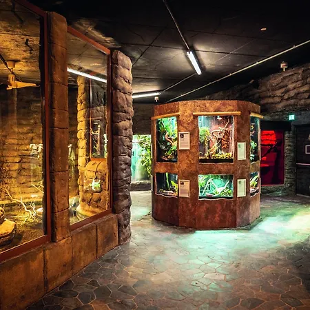 Doppelhaushaelften Im Ferienpark Weissenhaeuser Strand Weissenhäuser Strand