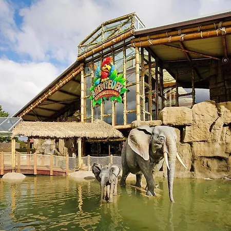 Doppelhaushaelften Im Ferien- Und Freizeitpark Weissenhaeuser